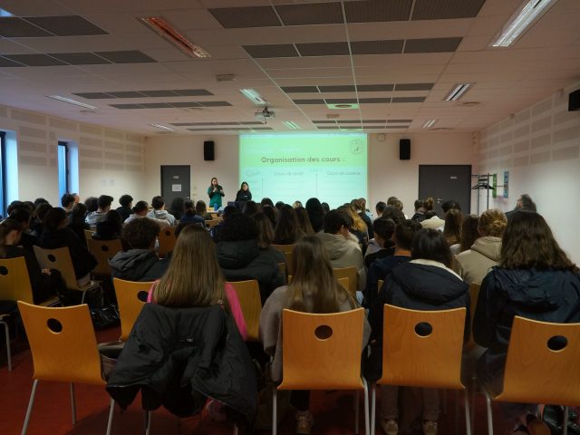 🎓 Orientation & études de santé au lycée